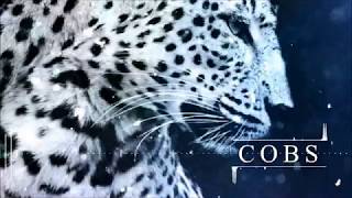 COBS - Tremble (Audio)