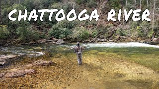 48 Hour Fly Fishing and Camping Adventure on the Chattooga River