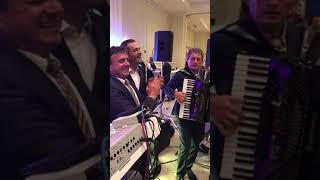 Sinan Vllasaliu Ft Hajro Ceka dhe Ilir Daja Dasem LIVE USA ft: Hajro Ceka Familja Qazim Veliqit HD