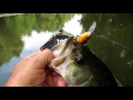 fish4fun beating the heat in my kayak