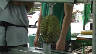 How to open Durian?