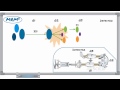 mrm3 for food testing video 2 of 4