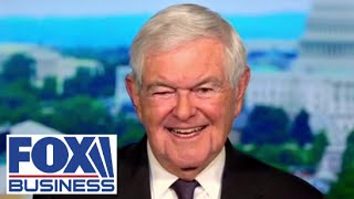 Newt Gingrich unpacks the 'civil war' in the Democratic Party