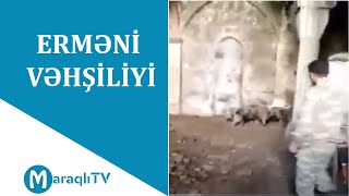 Maraqlı TV - Ermənilərin donuz saxladığı Zəngılan məscidi