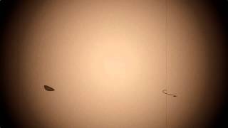 Old film 8mm scratches and Dirt Sepia FREE FOOTAGE HD Old film 8mm scratches and Dirt Sepia FREE FOOTAGE HD