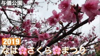 なは🌸さくら🌸まつり［与儀公園]　2019年　２月