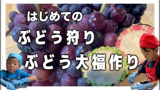 【食育】ぶどう狩りとぶどう大福作りしてきた！