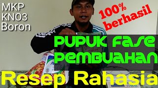 Pupuk Pemicu Buah efektif