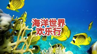 萌娃的一天 #一起看看海底世界 #奇妙的海洋生物 #海洋馆打卡