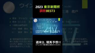 東京新聞杯2023調教BEST3#shorts