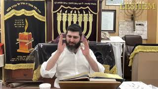 The Jewish profession- Rav Shalom Gadaev 5785￼