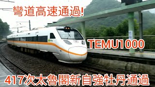 417次太魯閣新自強號牡丹通過#太魯閣號 #temu1000 @railways_0822 @panaaron4240 @Aaron0416-