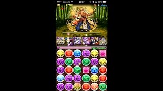 【パズドラ】聖獣達の楽園 天極の黄龍 パンドラPTでノーコン（周回編成）