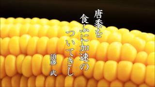 句集を作ってみませんか？ その46　自費出版　句集　印刷　青森県