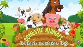 పెంపుడు జంతువుల పేర్లు ...|English to Telugu Domestic Animals Names|#domesticanimalsforkids