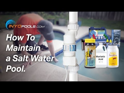 How To: Maintain a Salt Water Pool How To: Maintain a Salt Water Pool