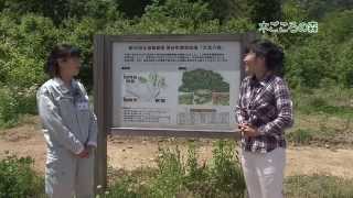 いきいき情報ふくい「大自然で遊ぼう　森林公園」（2014年06月01日更新）