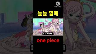 [짧은분석] 늪늪 열매 (one piece)