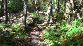 Hiking the 1000 steps near Mount Union, PA