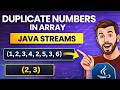 Find Duplicate Numbers in an Array Using Java Streams | Java Interview Program