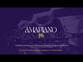 Amapiano Mix 2024 Vol.1 | AvooStudios™