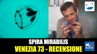 Venezia 73 - Spira Mirabilis, di Massimo D’Anolfi & Martina Parenti  | RECENSIONE