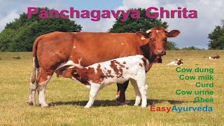 पंचगव्य घृत - Panchagavya Ghrita in Hindi