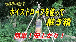 日本蜜蜂！ホイストロープ（滑車を）使って、重箱式巣箱の継ぎ箱をしました！！