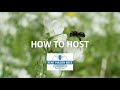 How to Rent & Host Mason Bees