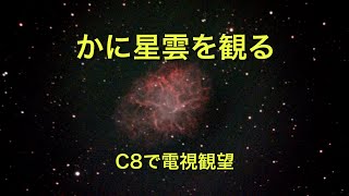 かに星雲を観る [C8で電視観望] #53