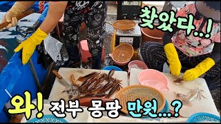 북평 민속 어시장 와! 엄청나다! 전부 만원? 싱싱한 자연산 수산물 한가득!같이 떠나 보시죠.Korean fish market channel.