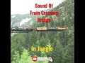 mesmerising train sound crossing bridge in jungle trainsound bridge jungle shorts