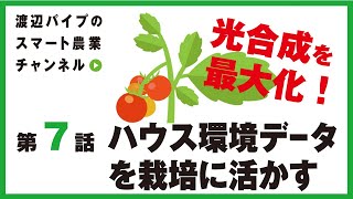 光合成を最大化！ハウス環境データを栽培に活かす　スマート農業で高収益を目指す渡辺パイプのスマート農業チャンネル＃７