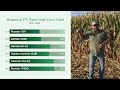 insidepti multi year high management corn study results over 400 bu a