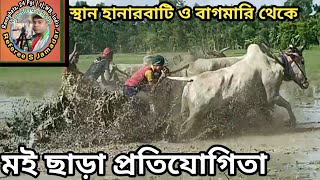 মই ছাড়া প্রতিযোগিতা দেখুন, হানারবাটি ও বাগমারি থেকে। referee s jamadar live