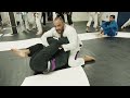 getting your first stripe at daisy fresh bjj stripe test