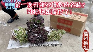 第一次开箱发现不懂多肉名称？对不上了，可把杨姐彻底蒙住了！