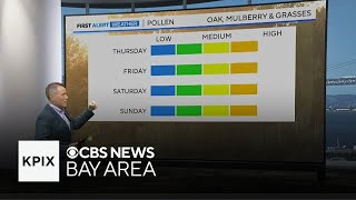 Warm Weather Expected Until a Sharp Cooldown Comes for San Francisco, The Pollen Counts for the Bay