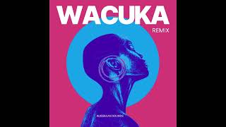 Wacuka - AVAION, Sofiya Nzau ( Remix )