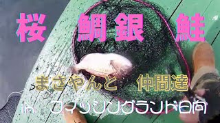 [海上釣り堀]2022年4月2日(土)桜鯛を求めて、仲間と上級一般乗合釣行にいきました。