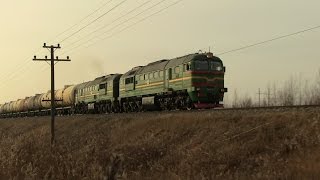 Тепловоз 2М62У-0071 на перегоне Елгава-Гароза / 2M62U-0071 between Jelgava and Garoza