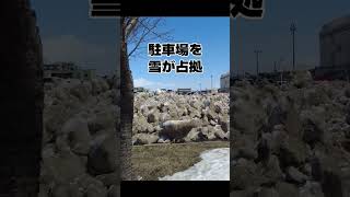 冬の北海道のイオンの駐車場は狭い