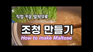 밀싹으로 만드는 조청(물엿)How to make maltose(麦芽糖) with  wheat sprout