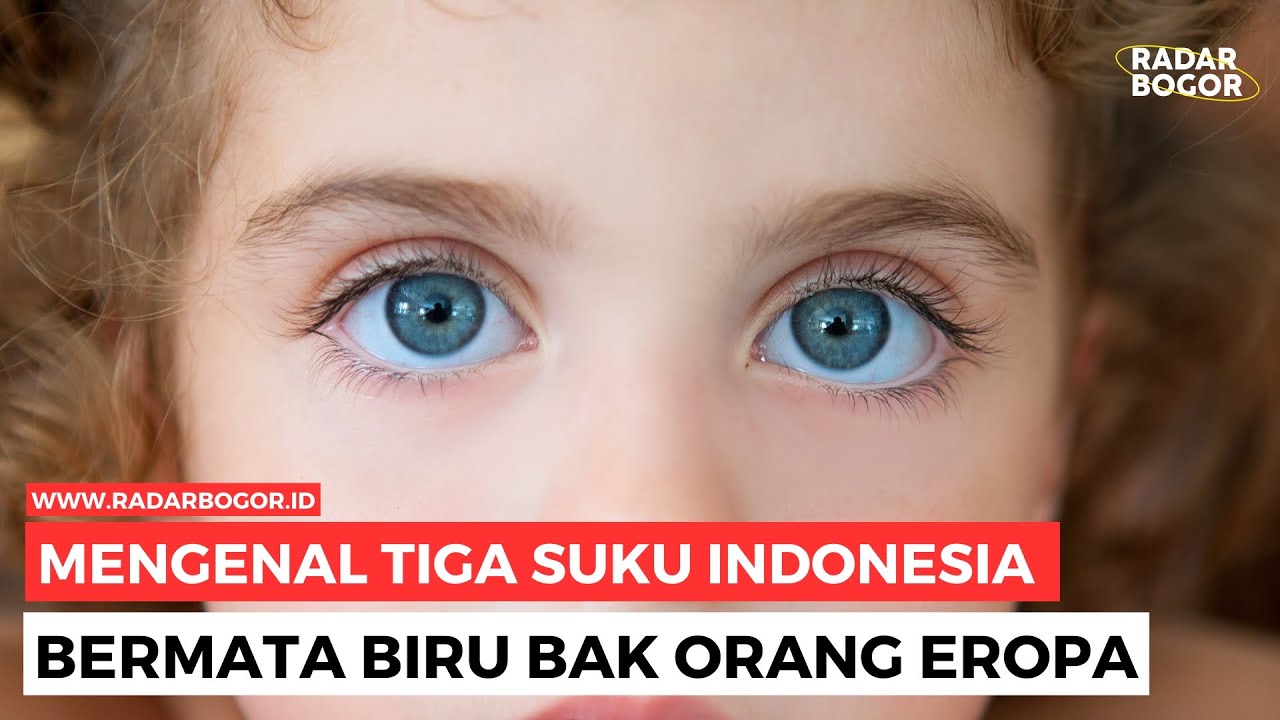 Mengenal Tiga Suku Indonesia Bermata Biru Bak Orang Eropa - YouTube