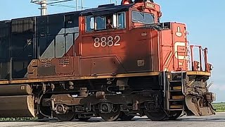 CN 8882