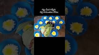 గట్టు మీద గన్నేరు చెర్ల చామంతుల నోము#Sankranthi nomulu#