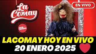 🔴La Comay Hoy En Vivo LUNES, 20 de ENERO 2025 #teleonce #lacomay #lacomay #lacomaycomay en vivo