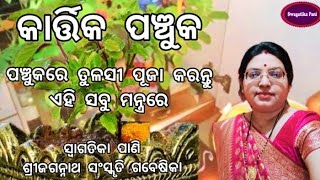 Panchuka l ପଞ୍ଚୁକରେ କରନ୍ତୁ ତୁଳସୀ ପୂଜା ଏହି ସବୁ ମନ୍ତ୍ରରେ l Tulsi Puja Vidhi Mantra Odia Kartika Masa