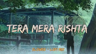 Tera Mera Rishta (Lofi ~ Flip) - Slowed & Lofi Mix | Use Earphones | Bollywood Lofi Song | Lofi Song