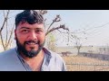 traveling from sohawa to islampura jabbar travel vlog explore potohar